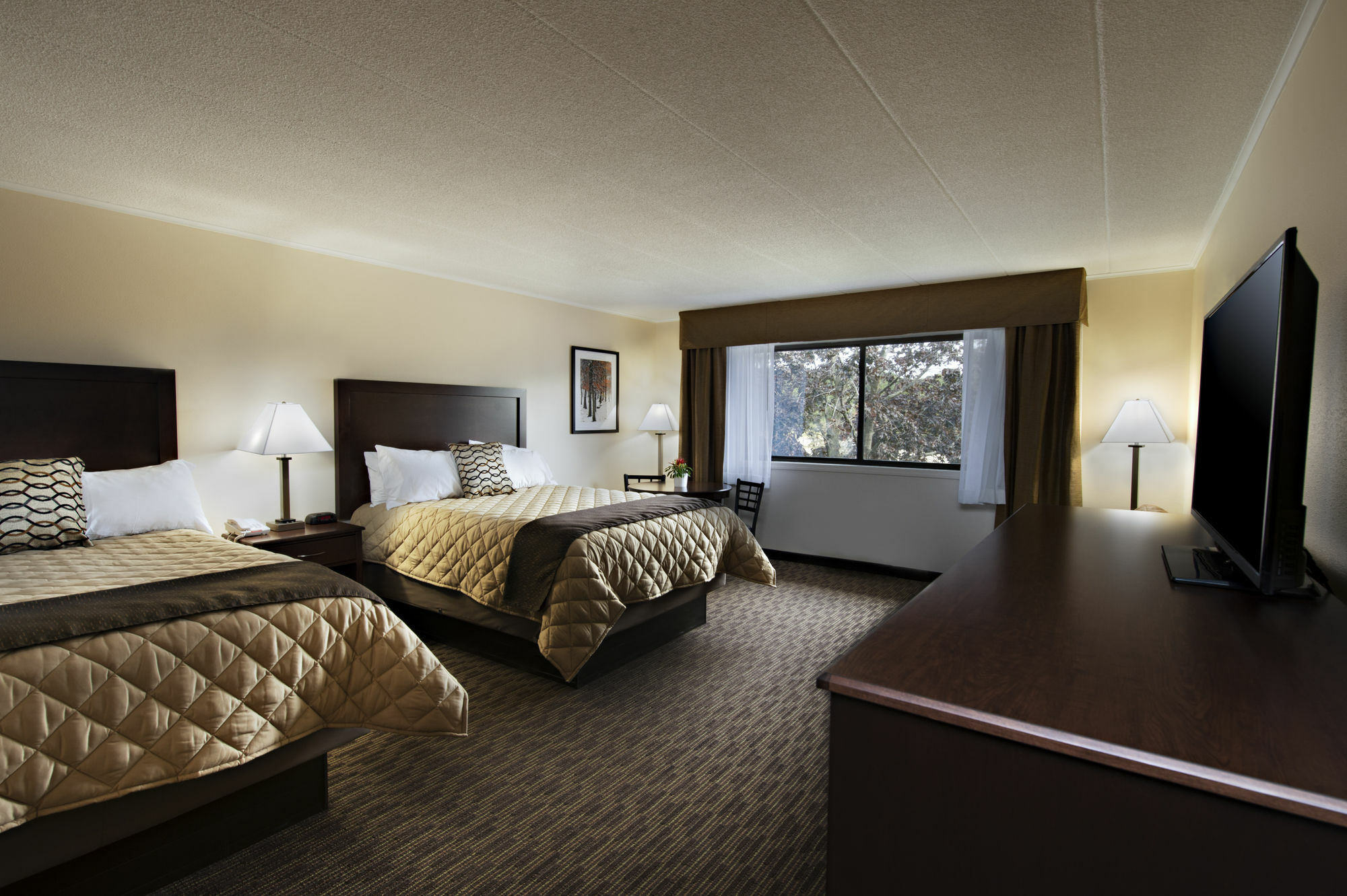 Chestnut Mountain Resort Galena Kültér fotó