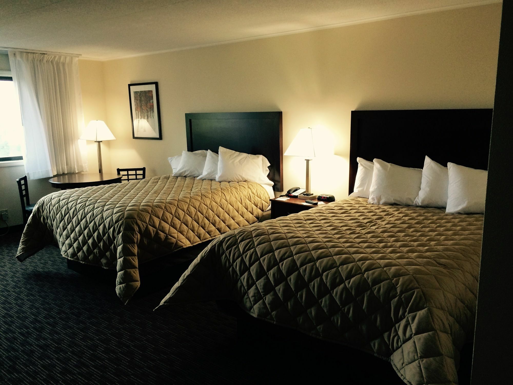 Chestnut Mountain Resort Galena Kültér fotó